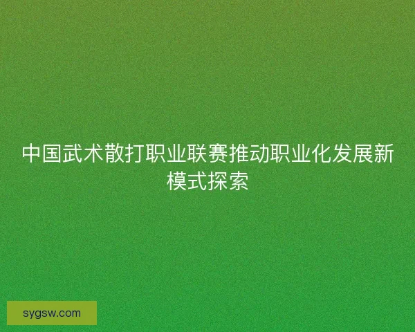 中国武术散打职业联赛推动职业化发展新模式探索